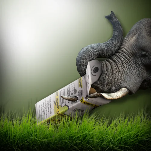 Alternative view of BIG 5 Vape Juice 120ml Shortfill 70/30 VG/PG | Taste the Wild with Exotic Safari Flavours