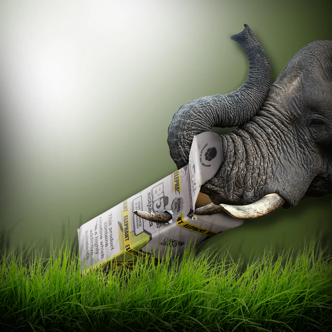 BIG 5 Vape Juice 120ml Shortfill 70/30 VG/PG | Taste the Wild with Exotic Safari Flavours - Image 2